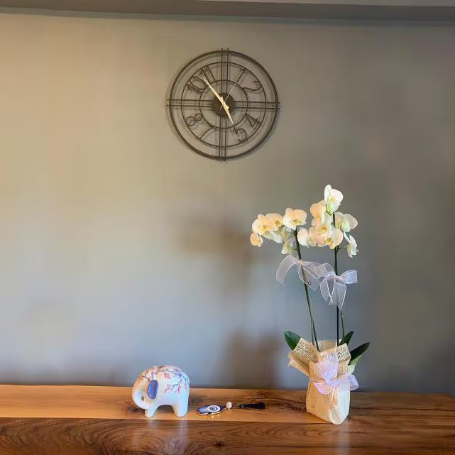 Decorative elements on a wooden surface with a clock on the wall.